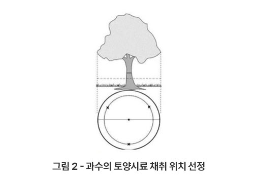 그림 2 - 과수의 토양시료 채취 위치 선정