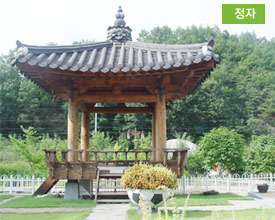 정자