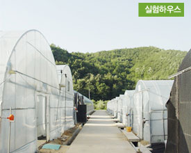 실험하우스