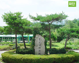 화단