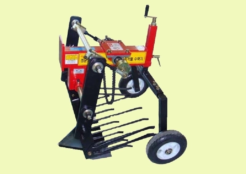 ���κм�) ��Ȯ��[65cm