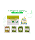 새싹선물세트