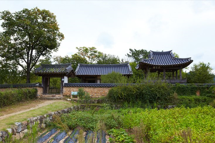원지정사