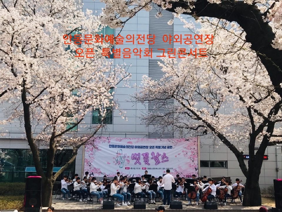 꿈의 오케스트라 사진