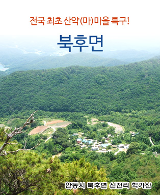 전국 최초 산약(마)마을 특구! 북후면 - 안동시 북후면 신전리 학가산