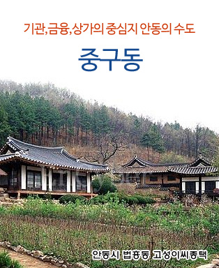 기관,금융,상가의 중심지 안동의 수도 중구동 - 안동시 법흥동 고성이씨종택