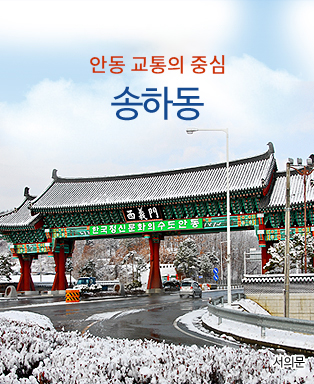 시외버스터미널 이전시 교통의 요충지 송하동 - 안동시 송현동 임천서원