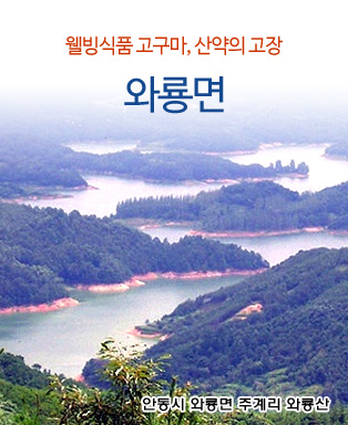 웰빙식품 고구마, 산약의 고장 와룡면 - 안동시 와룡면 주계리 와룡산