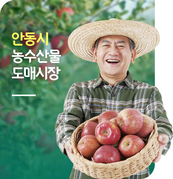 안동시 농수산물 도매시장